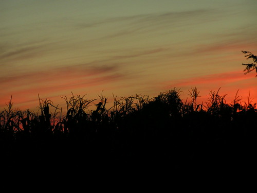 sunset richmond waynecounty corn fall sky