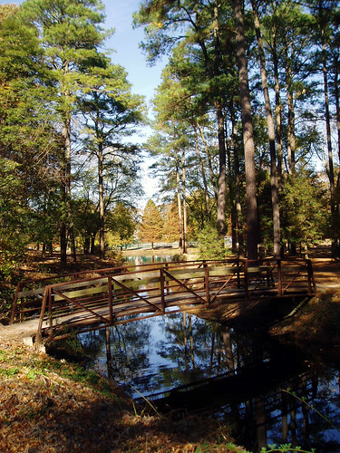 park bridge autumn pine geotagged footbridge maryland salisbury loblolly delmarva