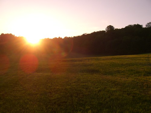 sunset day sonnenuntergang path meadow wiese clear schaumburg weg schalkau ehnes