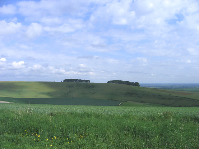 The Downs
