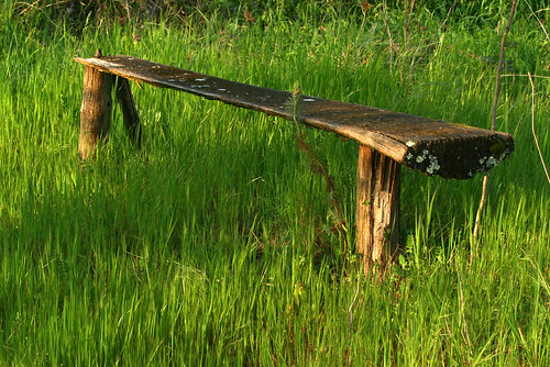 wood grass bench geotagged decay erba montevarchi legno panchina pallaio geo:lat=434946960781892 geo:lon=115396219876546