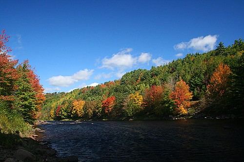 autumn canada forest river landscape geotagged novascotia canoneosdigitalrebelxt bridgewater
