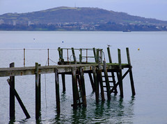 Holywood, The Old Jetty