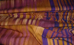 silk shawl2 April 2007