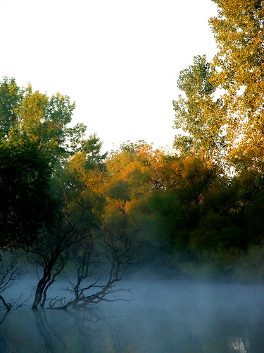 fog sunrise ohio sidecut metroparks nature reflection autumn water