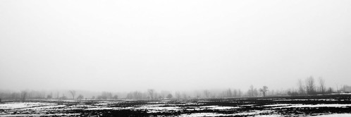 winter bw ontario canada field topv111 fog landscape geotagged sigma top20pano stratford sigma18200dc geotoolgmif geolat43366857 geolon80946053