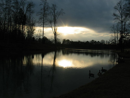 sunset duck mallard canadagoose manningmill adairsvillega