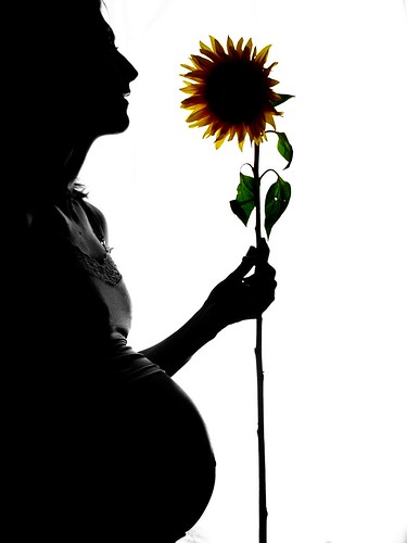 chiropractic care and pregnancy