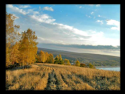 autumn nature yellow composition landscape photo nikon