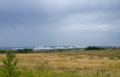 field fog clouds greyskies