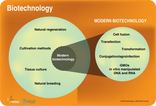 Biotechnology and modern biotechnology defined | GRID-Arendal