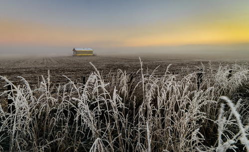 barn clouds dawn field frost grass hawkesbay ice icicle light newzealand sky sunrise