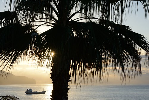madeira portugal funchal hotel coast sunrise