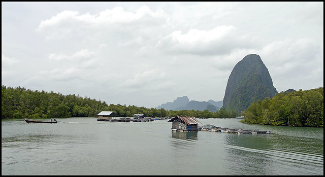 Mangrove canal and view of Koh Daeng