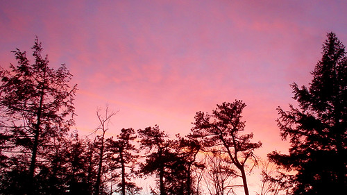 magenta sky lake minnewaska upstateny newyork ny nature ilovenature trees sunset dusk color colors clouds amazing poughkeepsie usa us fantastic sony sonydscp3 dscp3