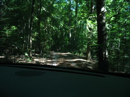 july 2005 presqueisle michigan driveway forest judyshouse