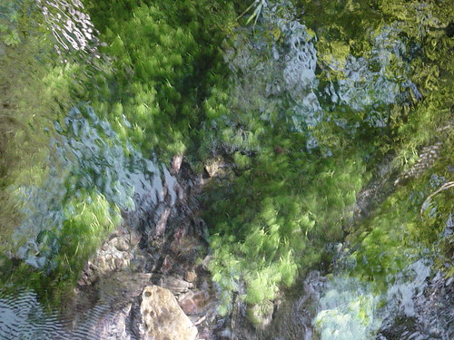 washington rainforest water reflection geotagged geolat47586715 geolon124102249