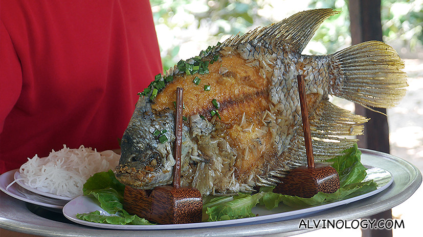 Try this elephant ear fish which is a specialty in the region 