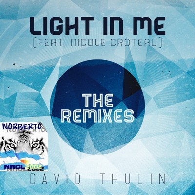 00-david_thulin_-_light_in_me_(the_remixes)-(8430017171)-web-2014-pic-zzzz