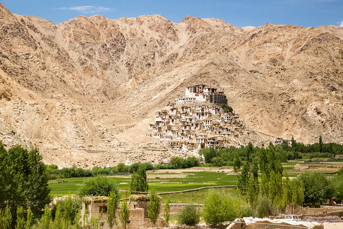 lehtrip monastery buddhist chemrey leh fields mountains himalayas