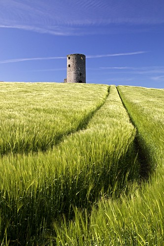 summer sky sun building green tower abandoned field track farm wheat crop disused agriculture