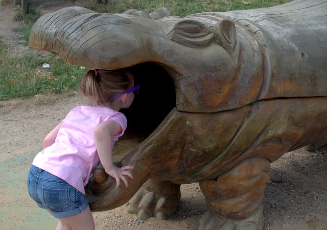 Mara eaten by a Hippo