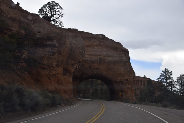 Bryce Canyon