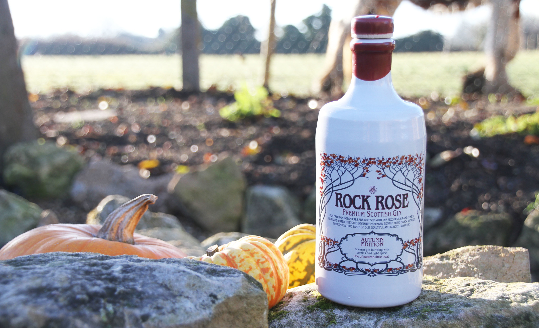 Autumn Edition of Rock Rose