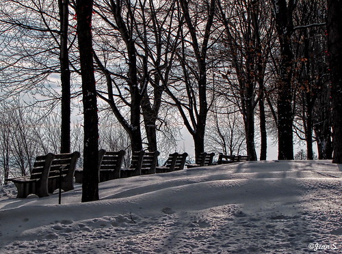 winter bench trees snow white shadow