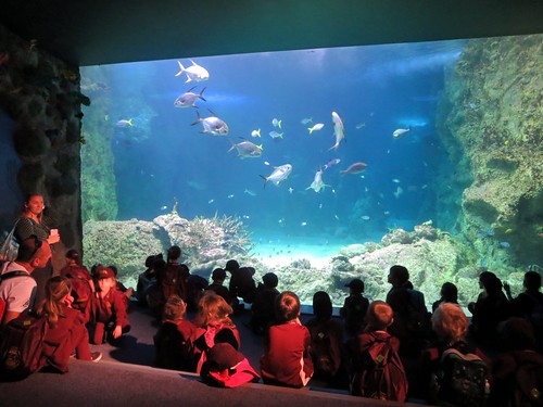 Sydney Sea Life Aquarium