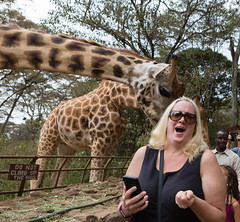 Kim gets personal with a giraffe