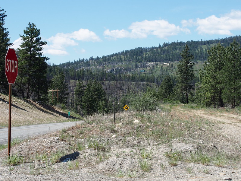 P2015-05-20 11.36.58: Just after a very steep grade that came out of nowhere.  You can see some forest fire remnants in the distance.