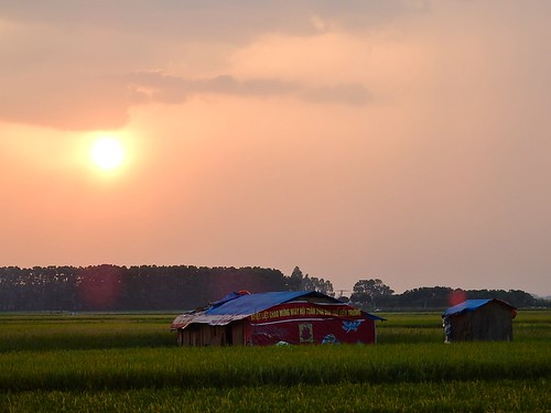 sunset fields hanoi outskirts sheds