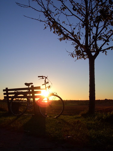 germany sonnenuntergang sunset fischerhude tree bike baum fahrrad exs100