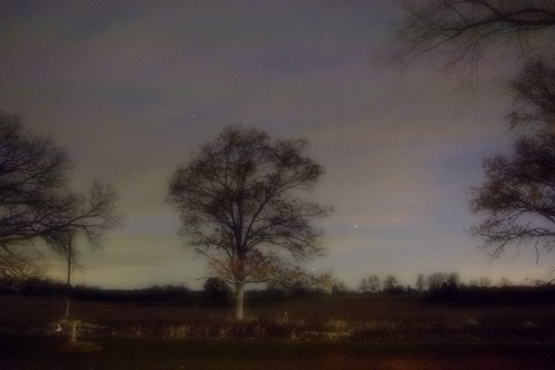 waterloo chelsea michigan nocturne tree night