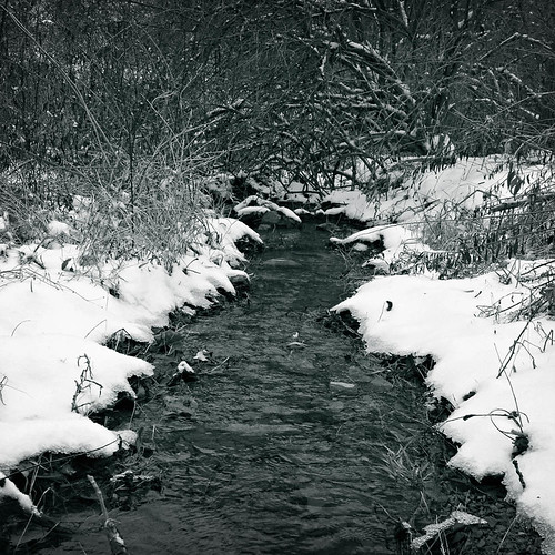 winter snow river creek monochrome bluish