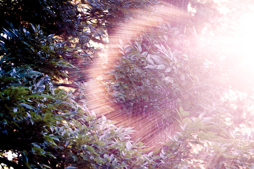 Flare Test with Jena Sonnar 135mm