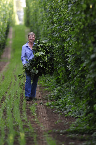 Gayle Goschie, a third generation Oregon farmer at Goschie Farms, Inc., standing in a hop yard
