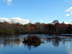 Wantagh - Twin Lakes Preserve - Autumn (51)