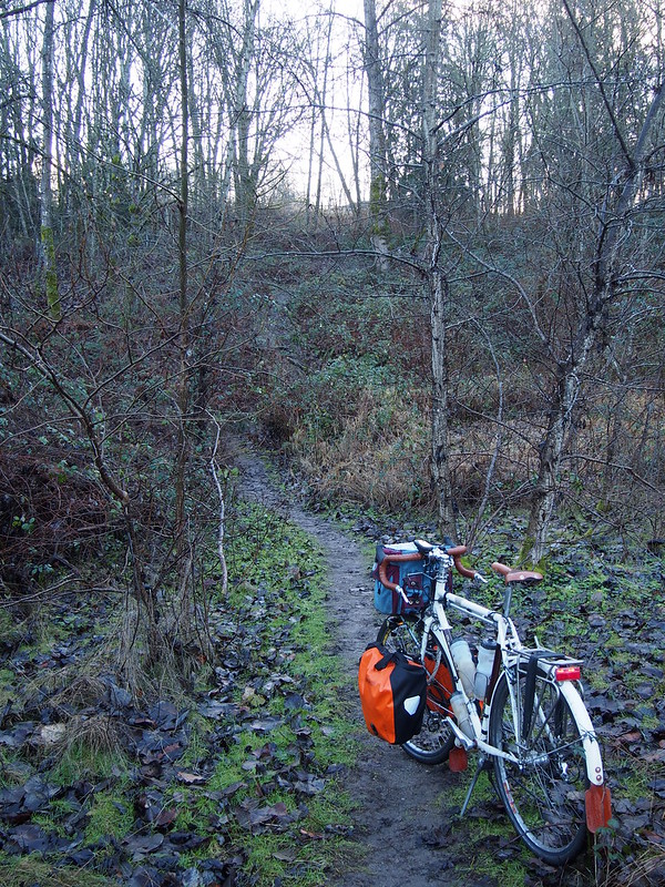 Cross Kirkland Corridor Try #1: This ended up being far too steep and overgrown to work.