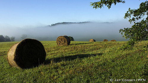 cloud mist farm indiana vista habitat agricultural martincounty mountainhill photographerjaycossey landscapespictorials