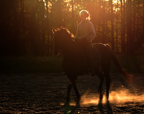 sunset horse woman girl backlight skåne sweden sverige horsebackriding scania solnedgång flicka ridning motljus kvinna