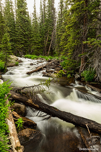 park trees wild summer portrait mountain mountains green nature water beautiful beauty creek forest river landscape rockies outdoors waterfall colorado stream natural outdoor scenic rocky scene falls flowing wilderness cascade pinetrees rooseveltnationalforest bouldercounty jamesboinsogna