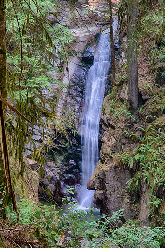 nature leaves rocks britishcolumbia waterfalls westvancouver cypressfalls nikond800 richhaig nikonafsnikkor24120mm14ged