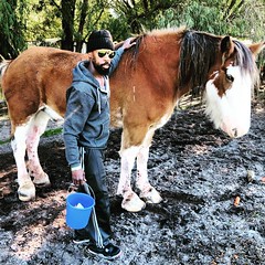 Time to do this ride-by. . .Someone give me a lift. I don’t want to drop my guns! @KevinHart4real how would you manage? Do they make car seats for horses? That’s what we do!  Shoutout to the Sunflower Animal Farm in Margaret River & @melbComedyFes