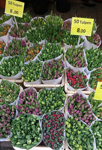 Tulips for Sale in the Flower Market in Amsterdam, Holland