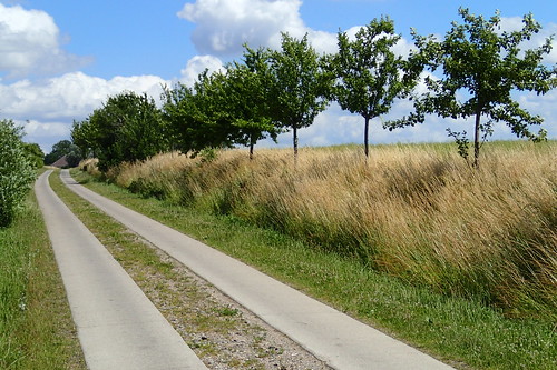concrete cycling track path route cycle agricultural slabs
