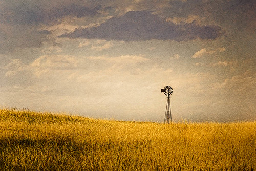 nature windmill field grass nebraska prairie naturephotography morrillcounty travelphotography landscapephotography ruralphotography naturesvistaphotography