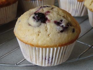 Blackberry Muffins_sm1