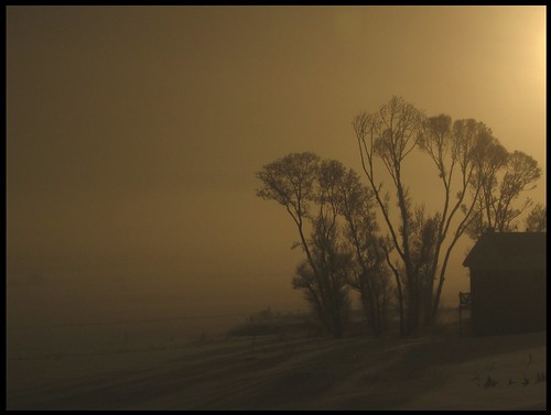 trees sunglasses fog landscape geotagged backlit picnik topphotoblog geo:lat=40713582 geo:lon=111543953